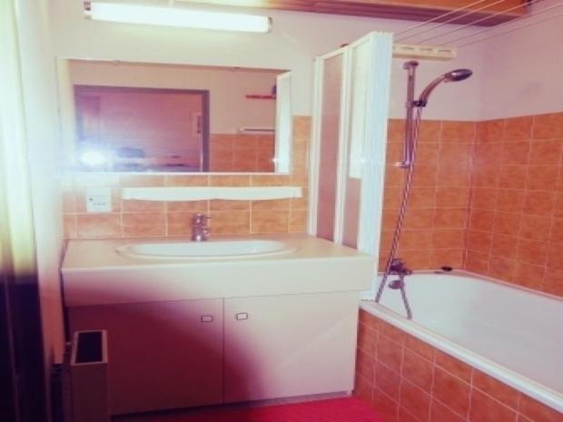 LE PLEIN SOLEIL - La Joue du Loup