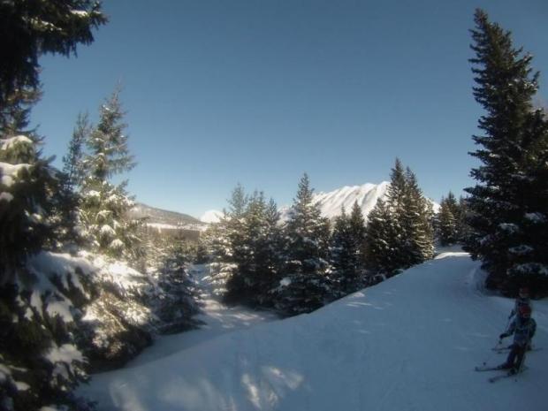 LE PLEIN SOLEIL - La Joue du Loup