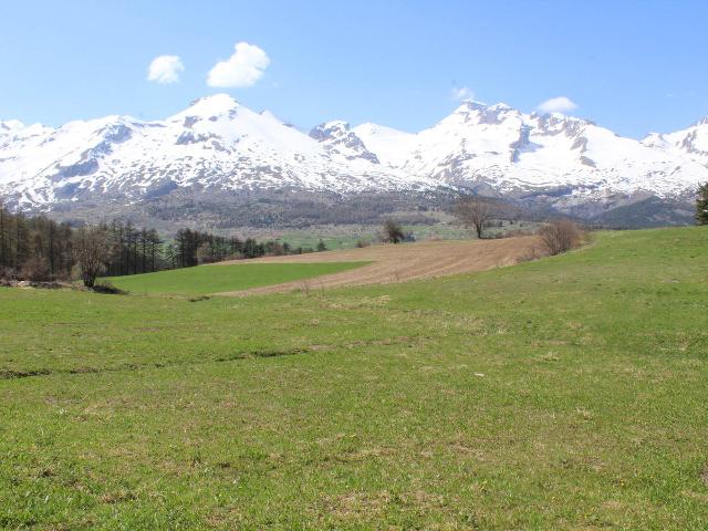 LES MOUFLONS - La Joue du Loup