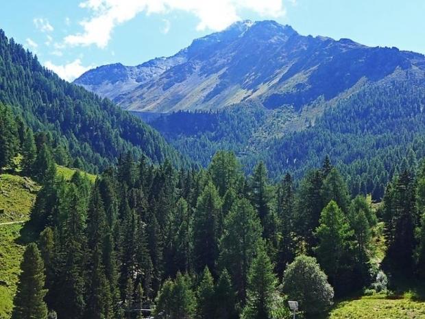 Rosablanche C43 - Nendaz