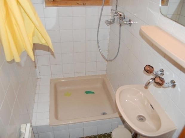 Trèfle Blanc - Nendaz