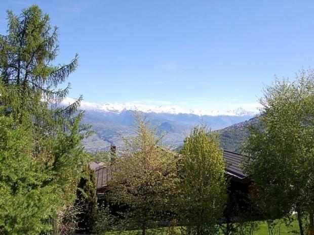 Trèfle Blanc - Nendaz