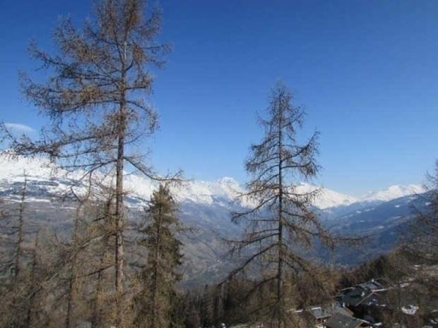 LA LANTERNE - Plagne - Les Coches