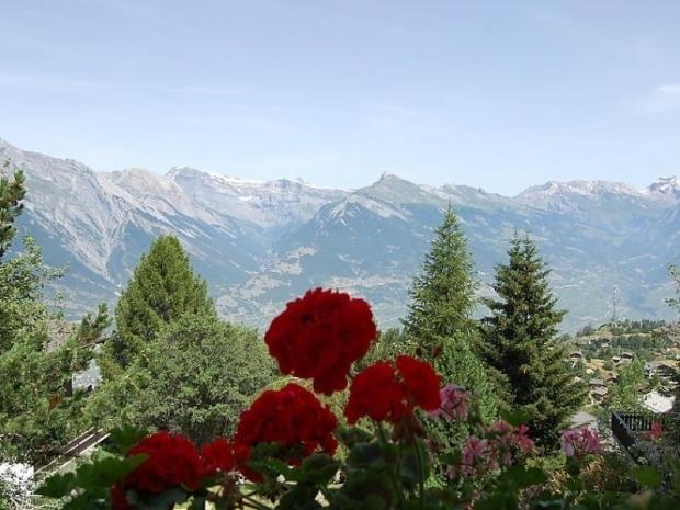 Les Etoiles - Nendaz
