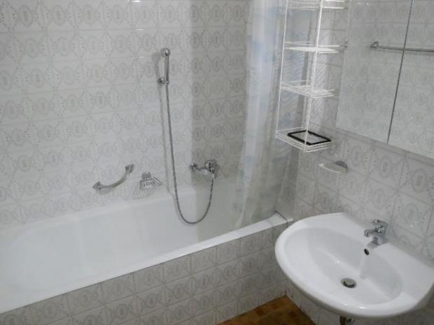 Valaisia 44b - Nendaz