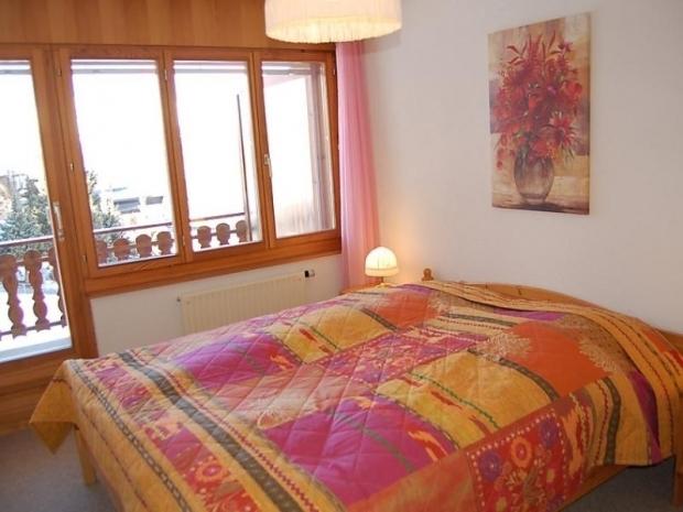 Ambassador 2/12 - Nendaz