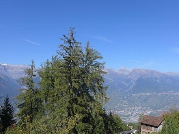 Le Bon Appart - Nendaz