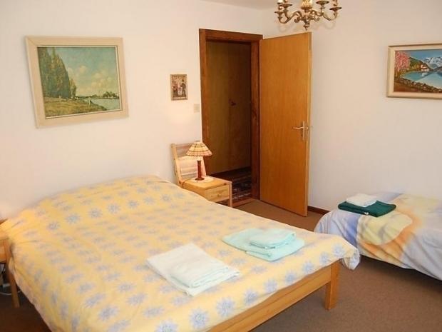 Valaisia 26B - Nendaz