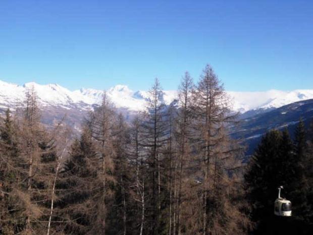 LE BILBOQUET - Plagne - Montchavin 