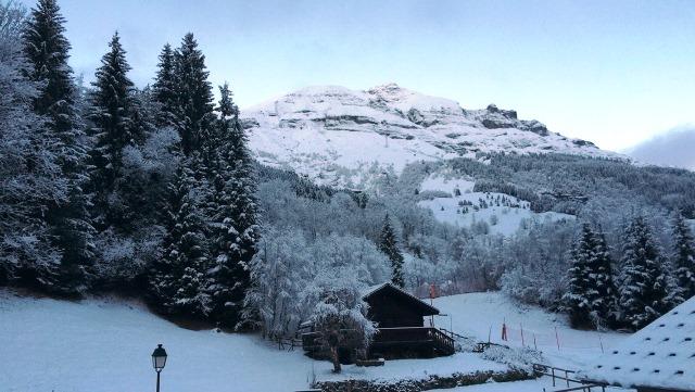 CAMELINE3 - Saint Gervais Mont-Blanc