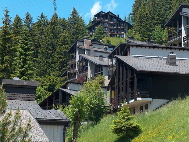 Les Beluardes Bl. 151/2 - Gryon