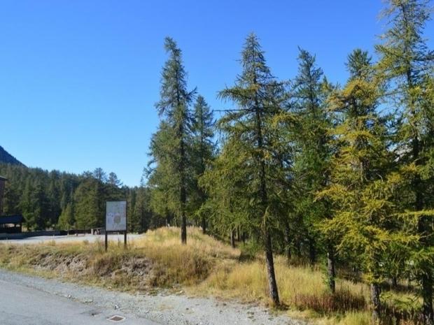 les anges - Montgenèvre