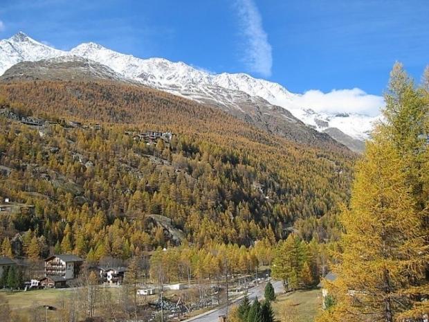 Chalet Sunstar, kleine Wohnung - Saas - Grund