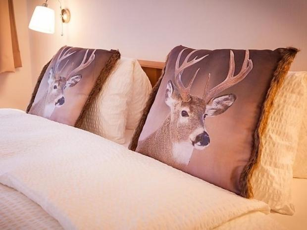 Bristolino - Saas - Fee