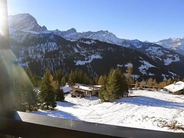 Les Petites Maraîches Bl. 132/389 - Gryon