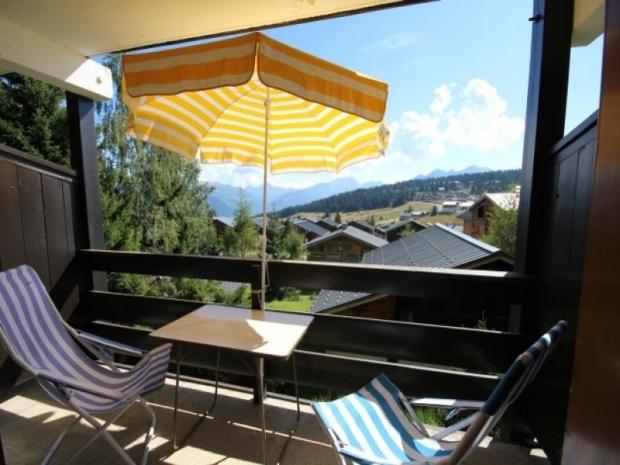 BOUQUETIN - Les Saisies