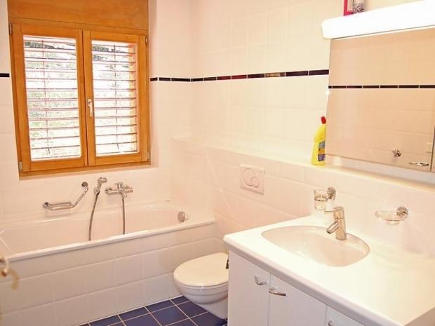 Grands Ducs 201B - Nendaz