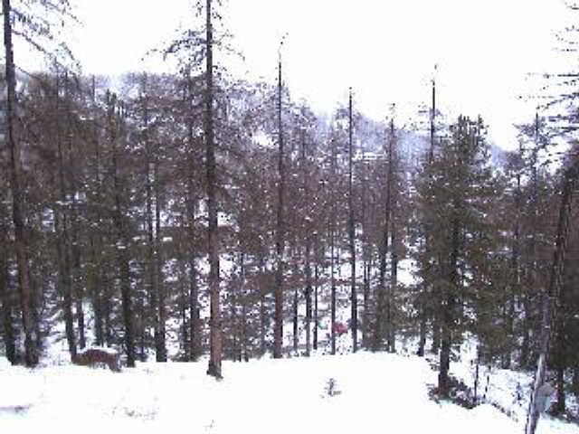 Hostellerie 58084 - Vars