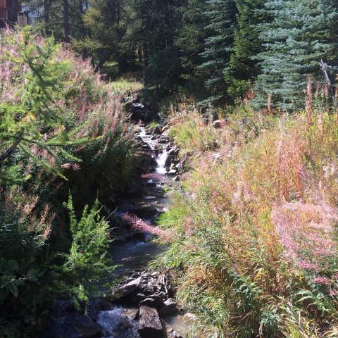 Panestrel 58093 - Vars