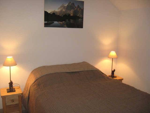 Bouquetins 58188 - Vars