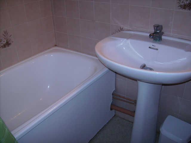 Soldanelles 58303 - Risoul 