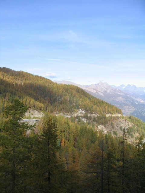 Airelles 58334 - Risoul 