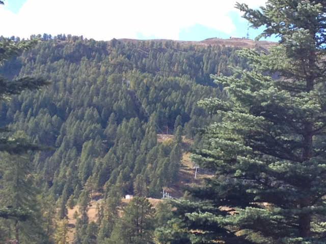 Orée du bois 58447 - Risoul 