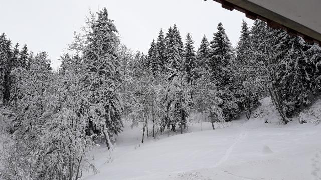 Appartements Ruisseau G - Valmorel