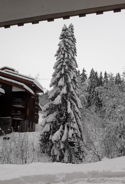 Appartements Ruisseau G - Valmorel