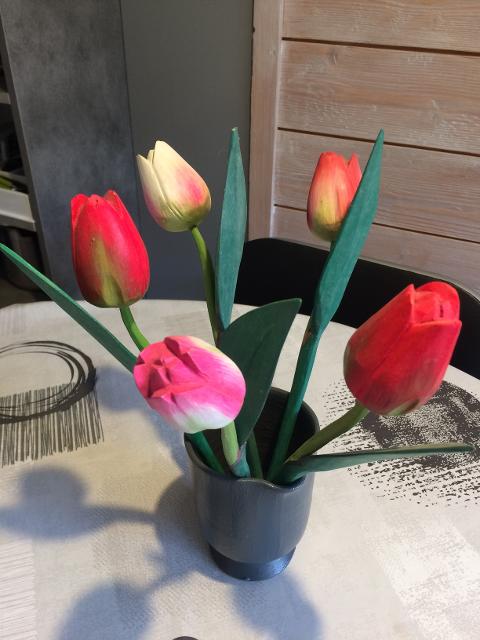 Appartements Camarine G - Valmorel