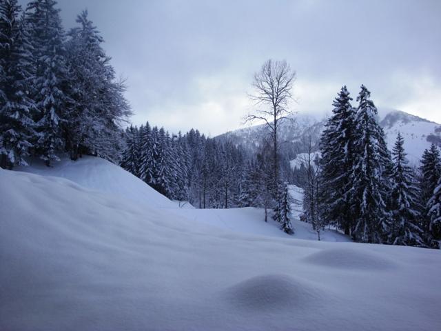 Appartements Cheval Blanc G - Valmorel