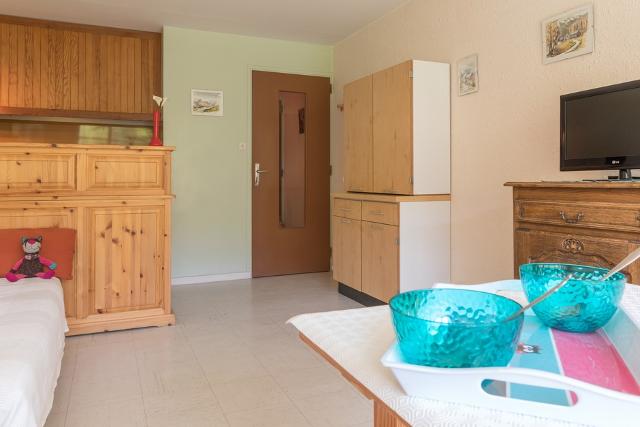 Appartements agneaux - Puy Saint Vincent