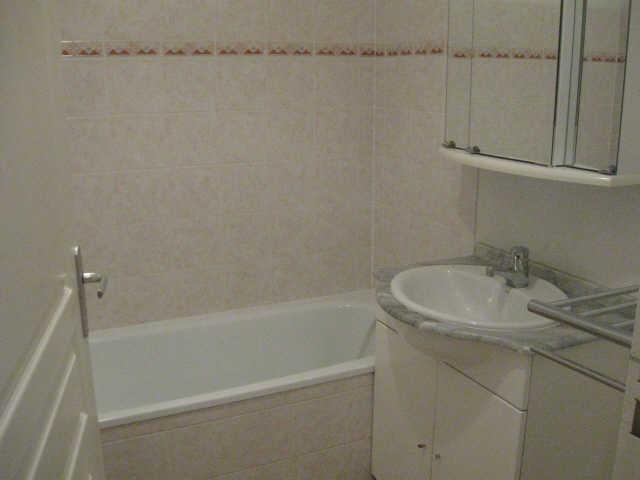 Bouquetins 58196 - Vars