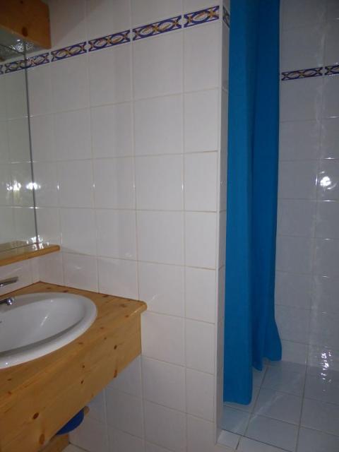 Appartements les melezes - Pralognan la Vanoise