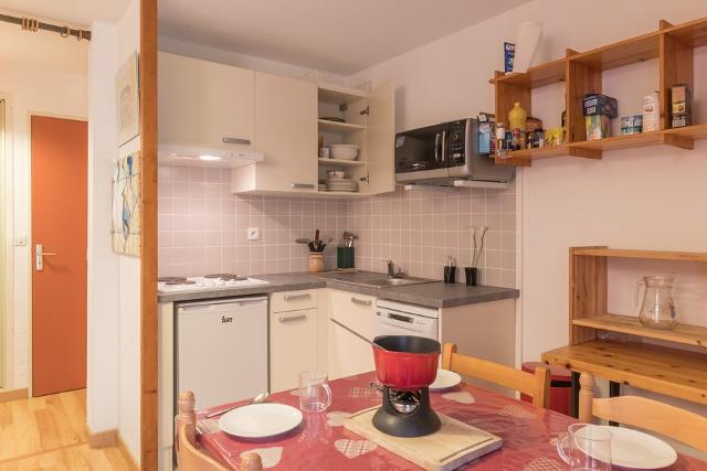 Appartements eyssallarettes - Puy Saint Vincent