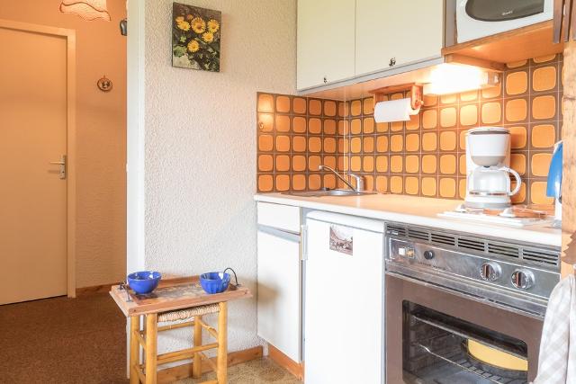 Appartements eyssallarettes - Puy Saint Vincent