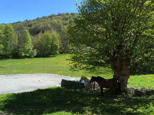 BELTEGEUSE 45961 - Valloire