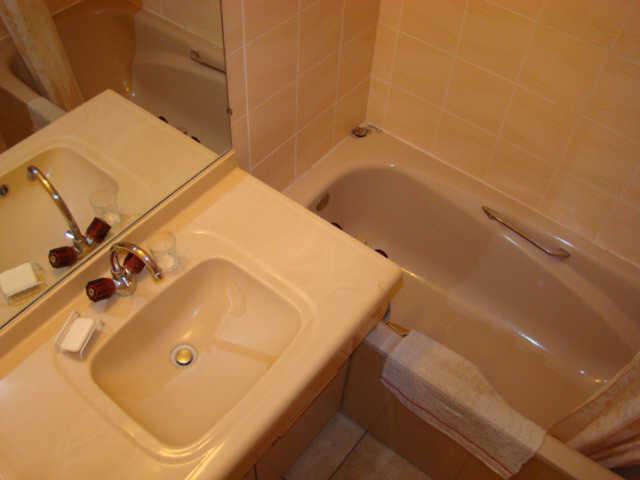 LE SORBIER 45936 - Saint François Longchamp