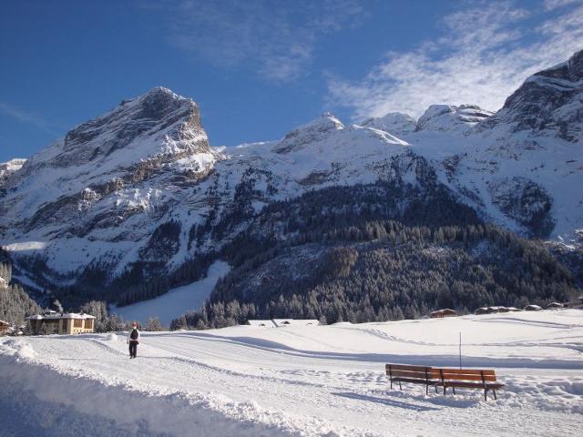 Appartements le plan d'amont - Pralognan la Vanoise