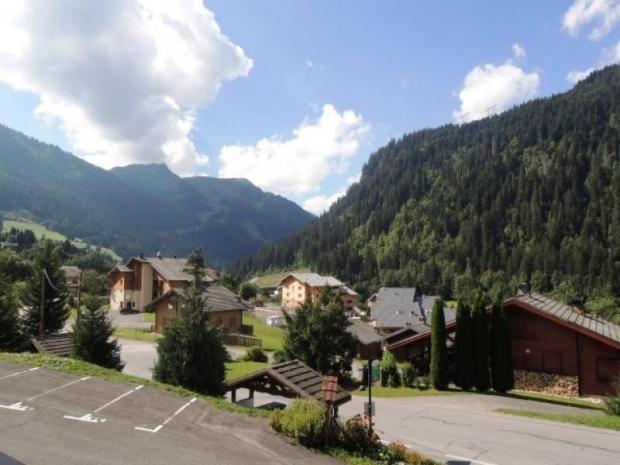 LES JONQUILLES - Châtel