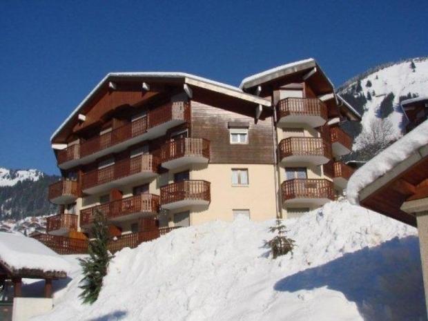 LES JONQUILLES - Châtel