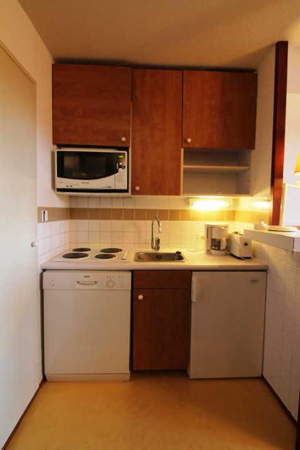 Mélèzes (les) 60182 - Alpe d'Huez