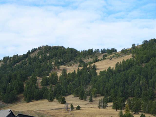 Chamois 59606 - Risoul 