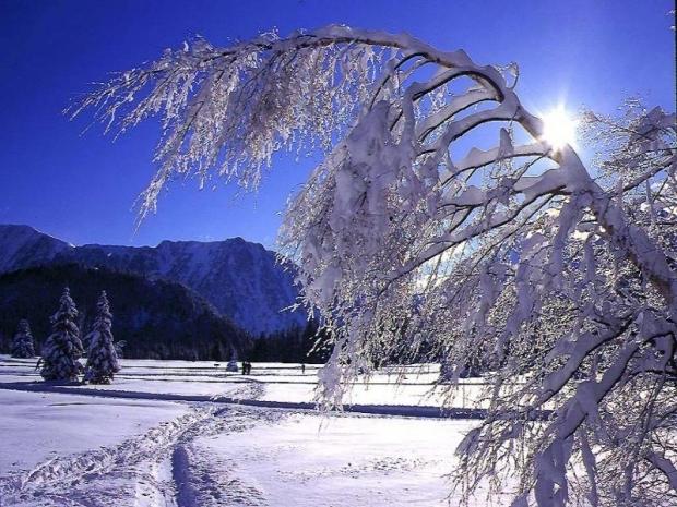 LE CARINA - Chamrousse