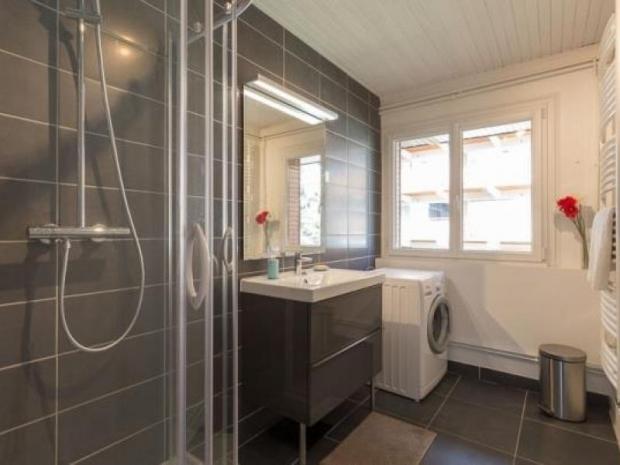 LES ELFES - Les Deux Alpes Venosc