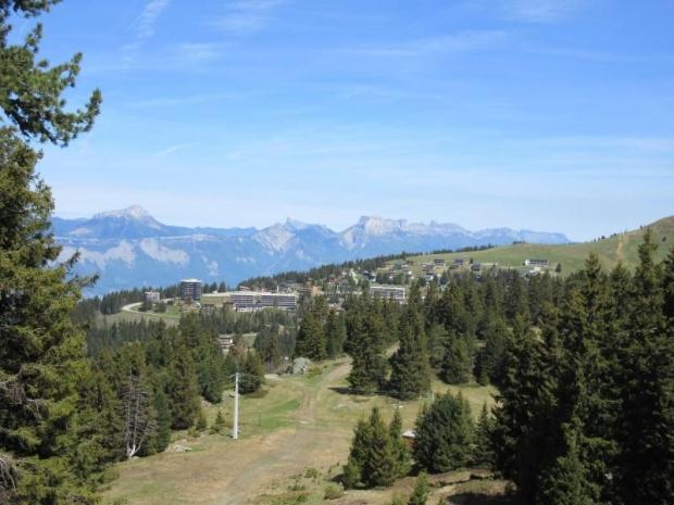 L'EDELWEISS - Chamrousse
