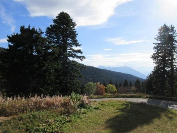 LE CARINA - Chamrousse