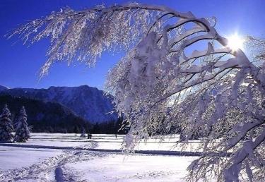 Appartement Les Dauphins - Chamrousse