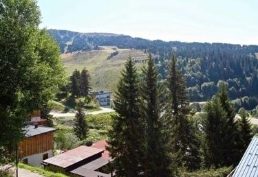 Appartement Les Dauphins - Chamrousse