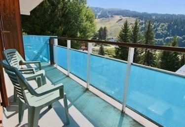 Appartement Les Dauphins - Chamrousse